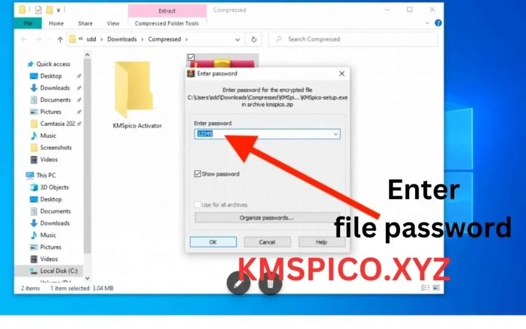 enter KMSpico.rar file password while extracting it